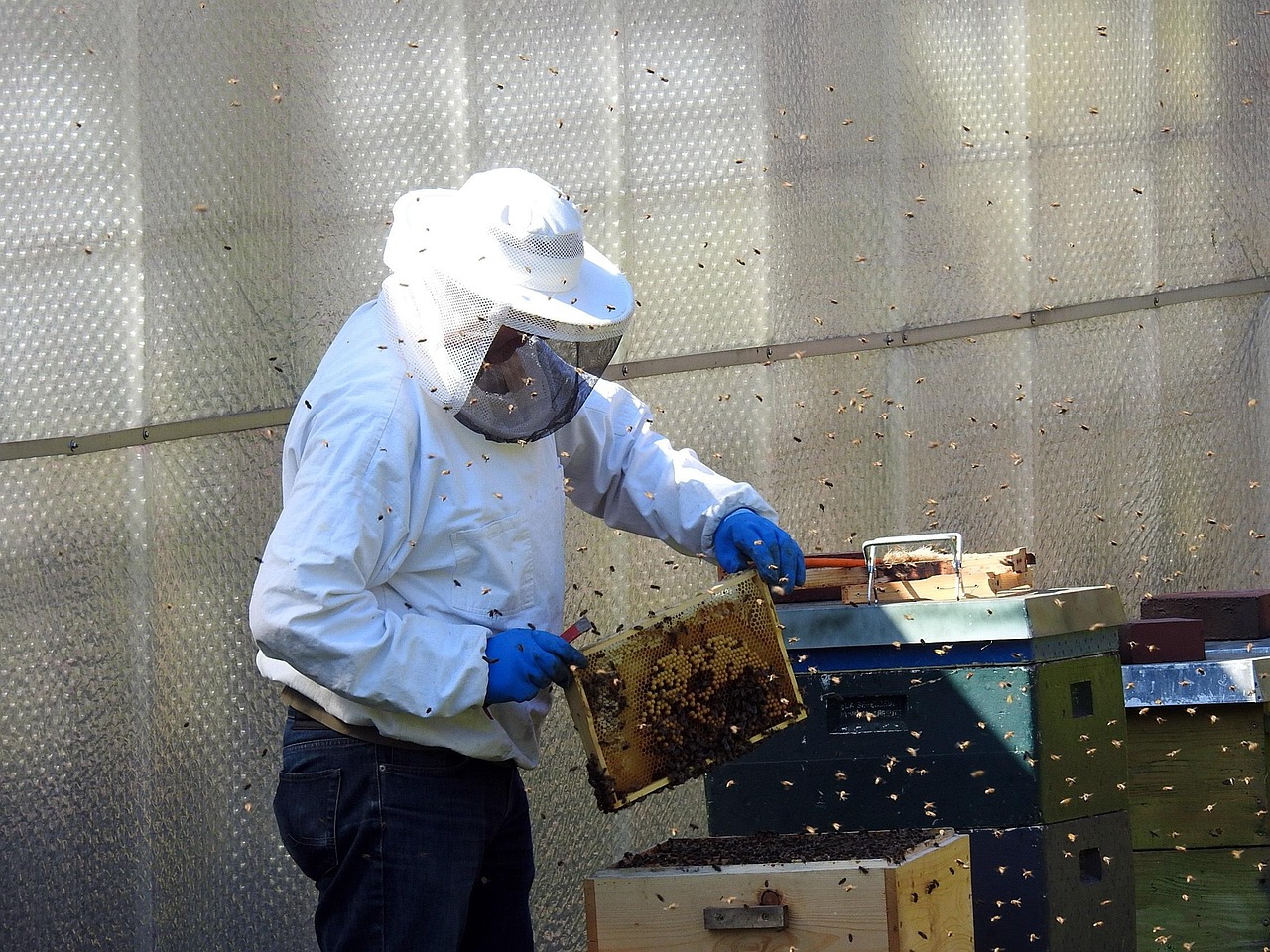 Beekeeper in protective suit